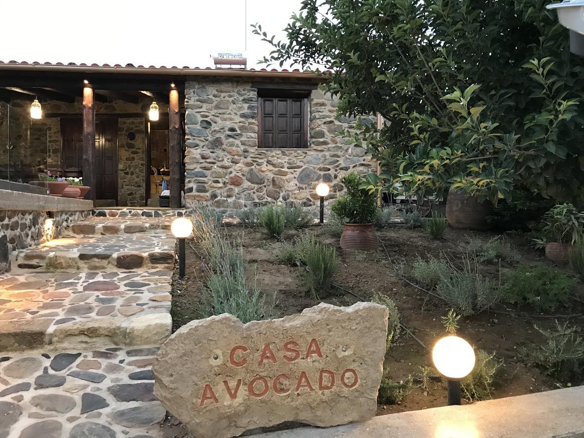 Villa Casa Avocado Tavronitis Exteriör bild