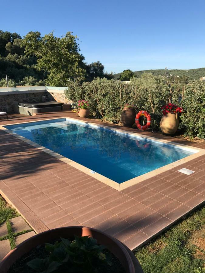 Villa Casa Avocado Tavronitis Exteriör bild