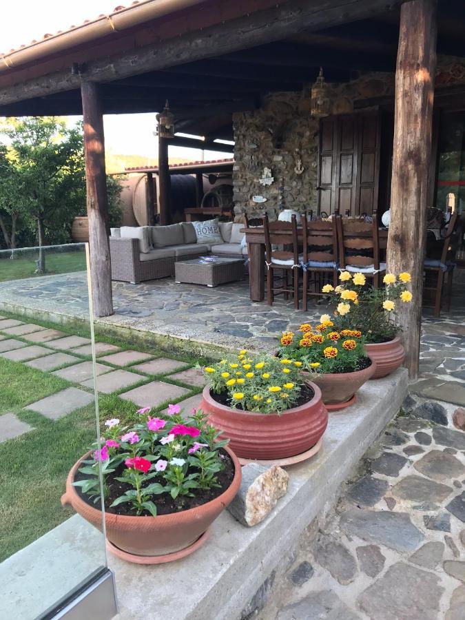 Villa Casa Avocado Tavronitis Exteriör bild